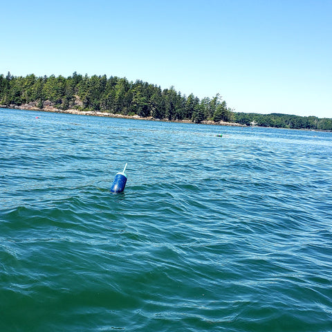 Celebrate Our Independence with Maine Seafood!