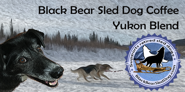 Black Bear Sled Dog Coffee