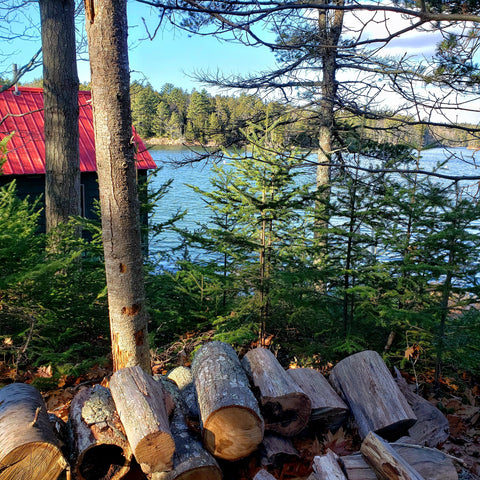HAPPY "SEAFOOD" NEW YEAR!